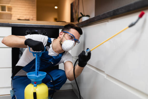 Best Termite Control Services  in Baywood, NY