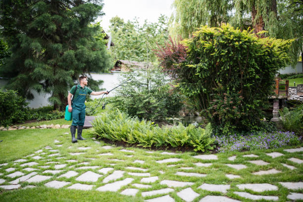 Best Ant Control Services  in Baywood, NY