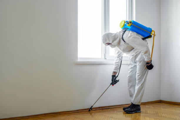 Best Local Pest Control Services  in Baywood, NY