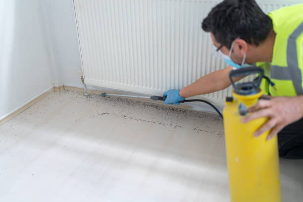 Best Commercial Pest Control Services  in Baywood, NY