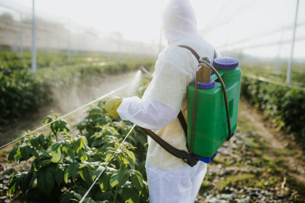 Best Emergency Pest Control  in Baywood, NY